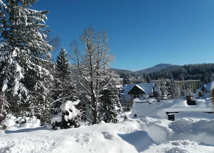 Hut 1 Harrachov
